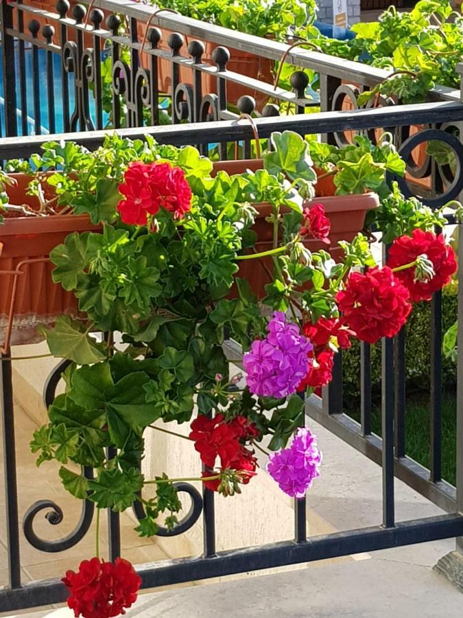 Boulevard Sea Residence Sunny Beach Esterno foto